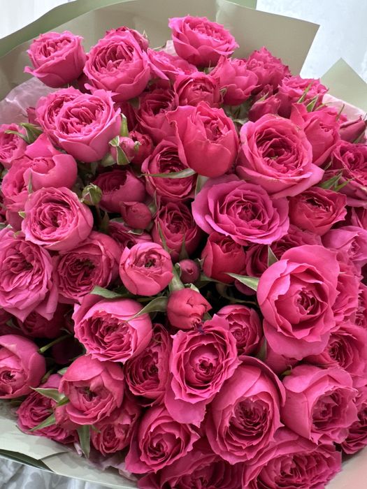 Кустовые спрей розы)