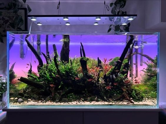 Магазин аквариумистики