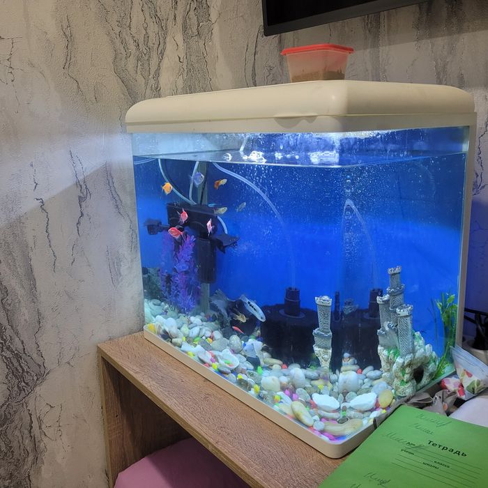 Аквариум с рыбками!