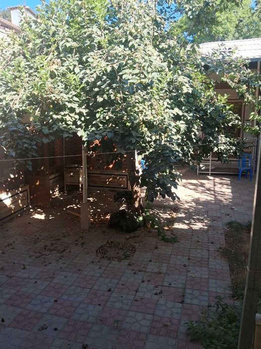 №4050. Продается Дом.