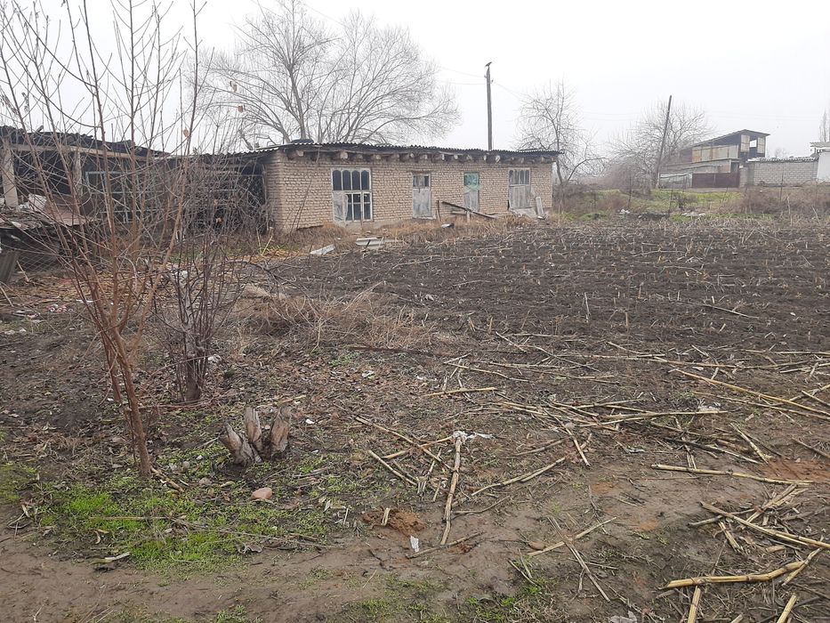 Yer sotiladi chorvachilik uchun zor joy