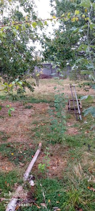 Boʻstonliq Hondoyliq qishlogʻida yer sotiladi