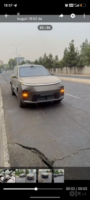 Lixiang Livis l9 hamma rangi bor