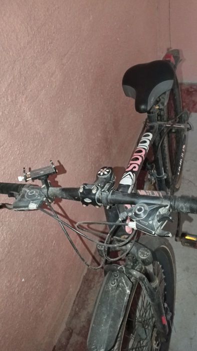 Velosiped  kurerlik qilmoqchi boʻganlar