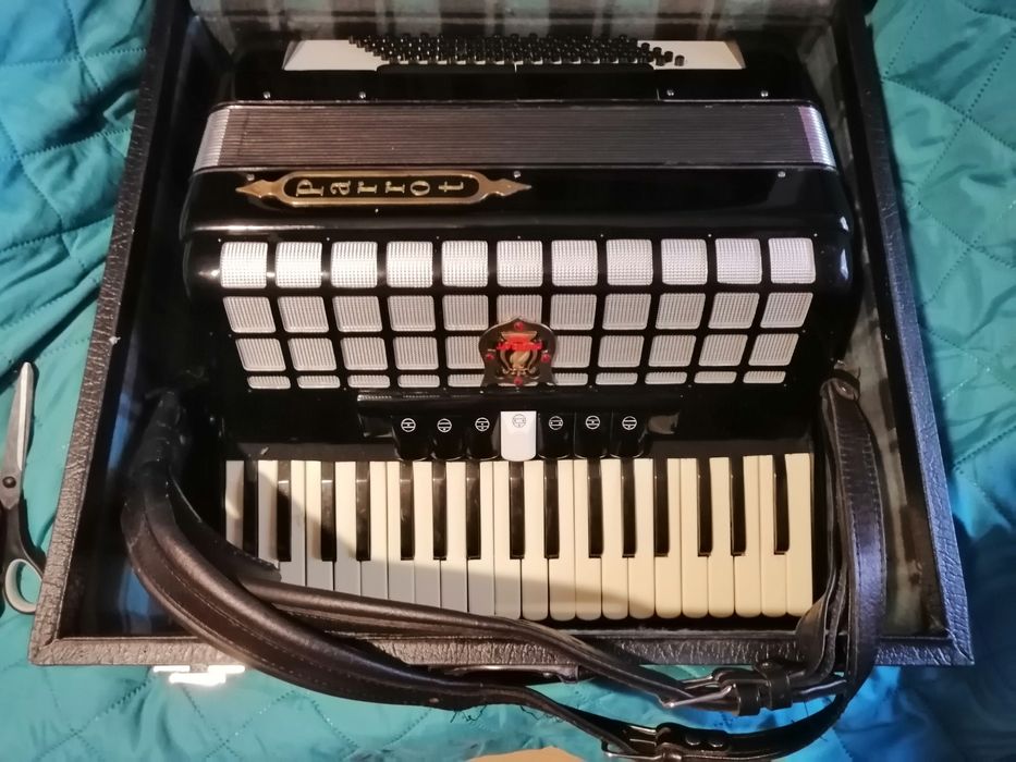 Acordeon parot, nu este nou e super bun