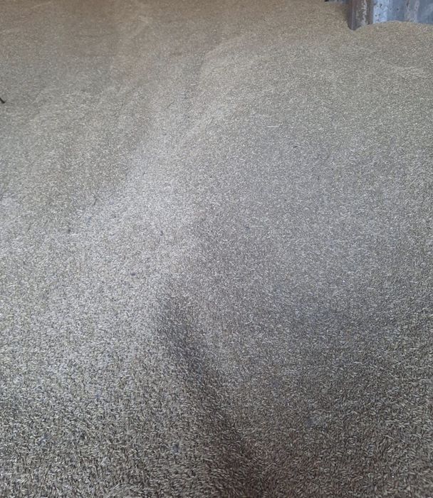 Продам ячмень кормовой