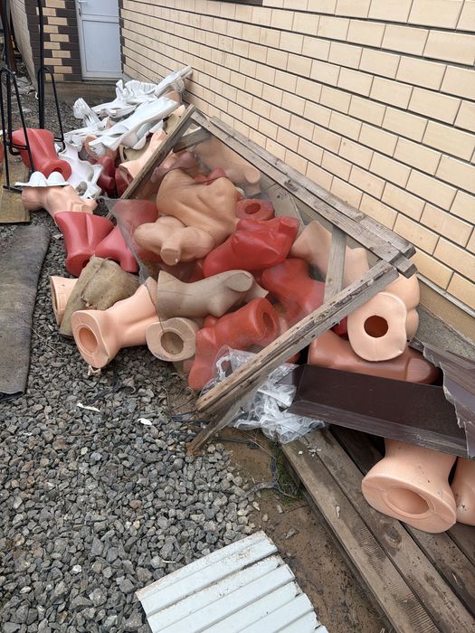 Пырадам иди виши