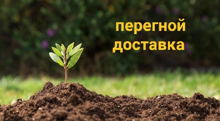 Перегной доставка
