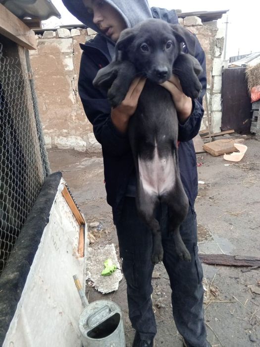 Тея и Лапушка ищут дом!