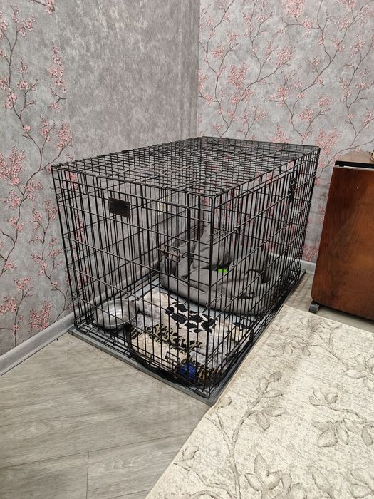 Клетка-домик для животного