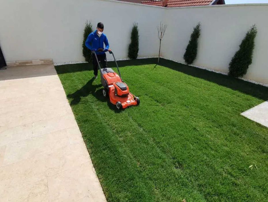 Gazon Rulou de Calitate – Livrare Rapidă și Montaj Inclus