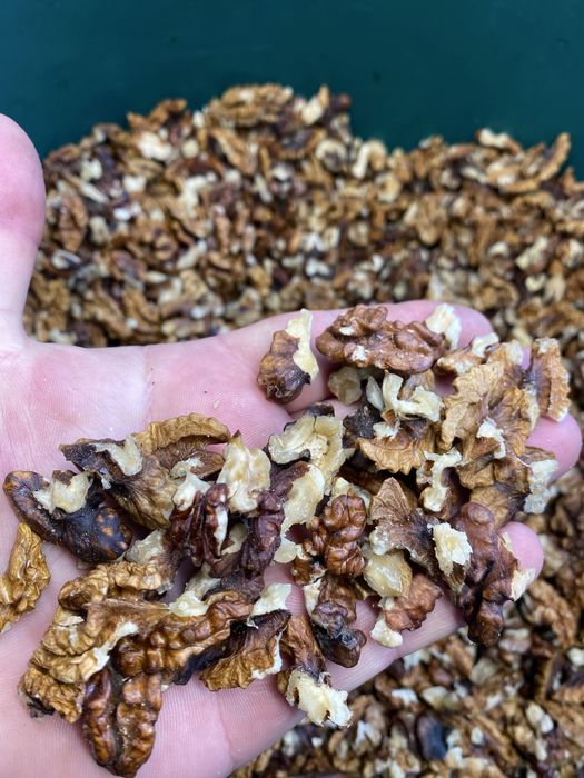 Miez cafeniu fara mucegai  aproximativ  10kg