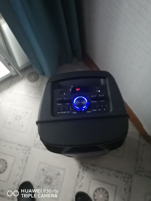 Калонка музыкальная