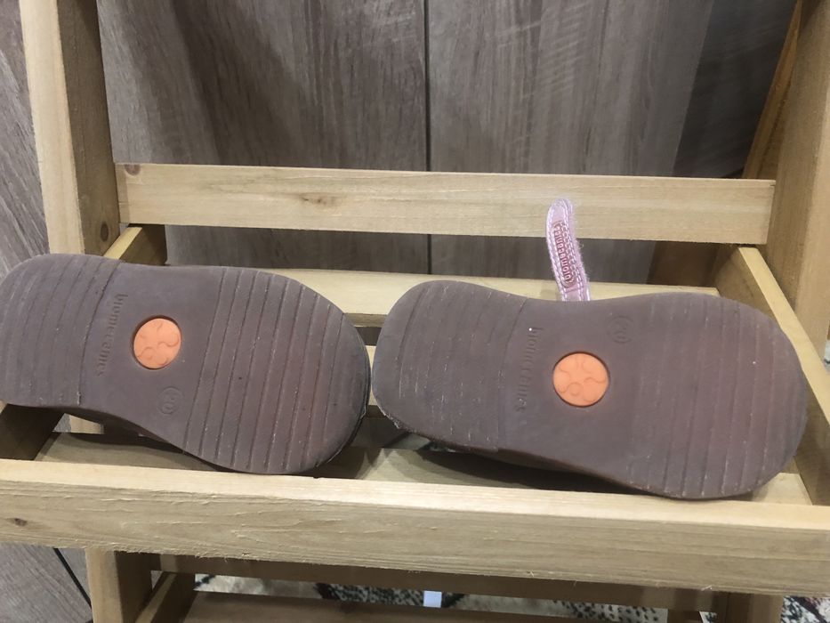 Biomecanics nr 20 fetite