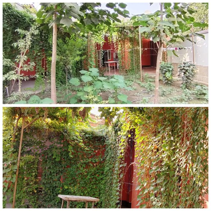 Ховли уй сотилади 6 сотих .