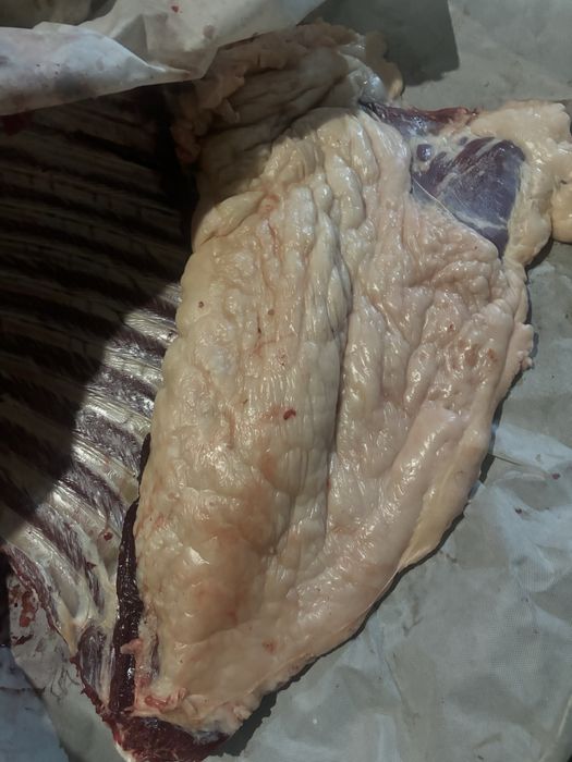 Продам согым по частям