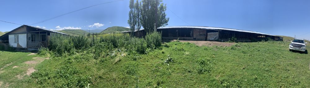 Фазенда, Кашар, Хозяйство