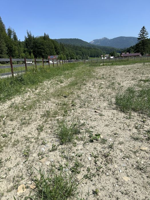 Teren de vanzare cu bazin pastravarie Valea Stanii Cheia langa rau