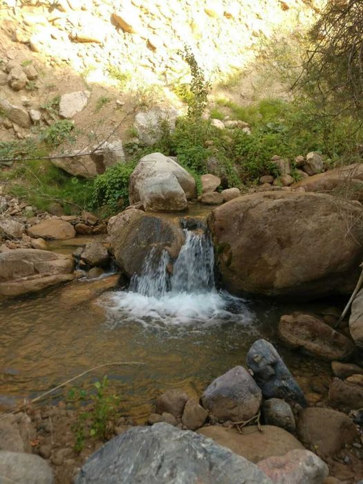 Тапчан аренда Чарвак Горы