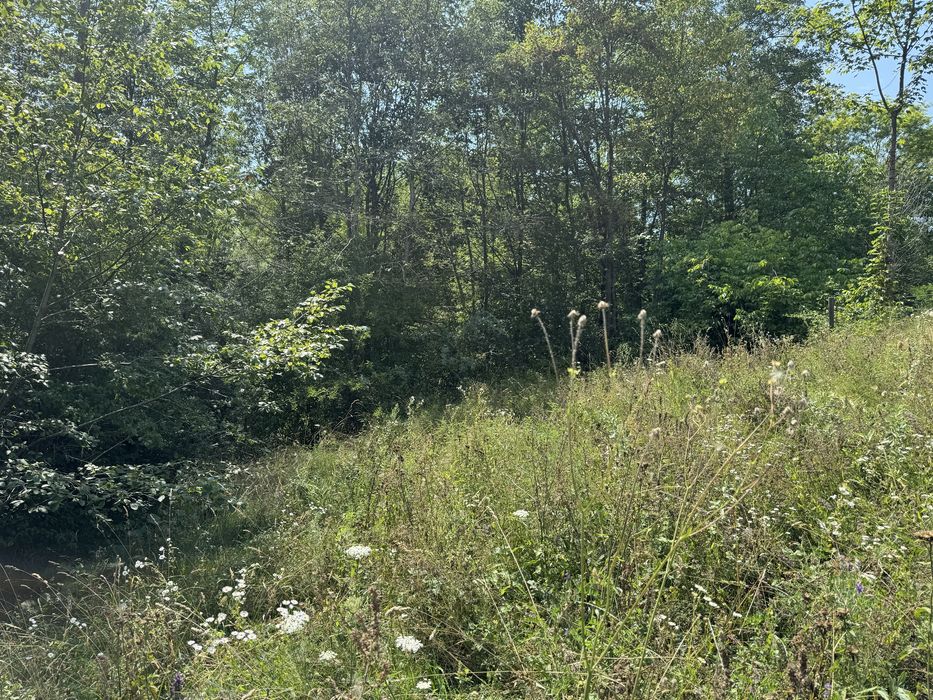 Teren 2.430 mp Arefu – lângă Cetatea Poenari și Transfăgărășan