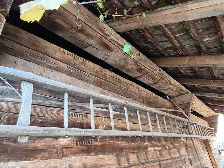 Șură din lemn de brad