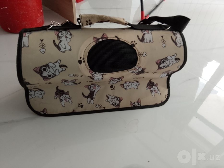 Переноска для котят