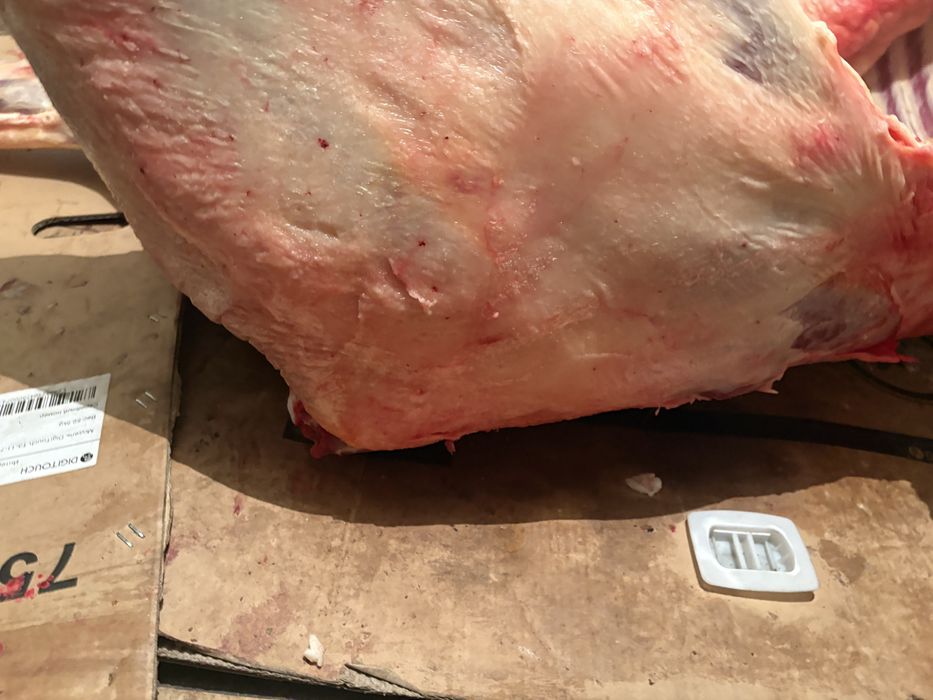 Донежин Байтал даланын