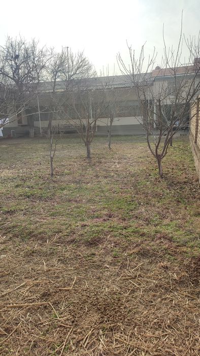 Назарбек Туркестан молбозор 1 км 8 сот 7 хона