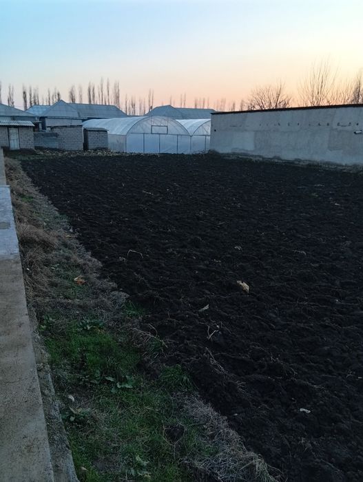 12 yarmiyam kelwib qosek sotladi