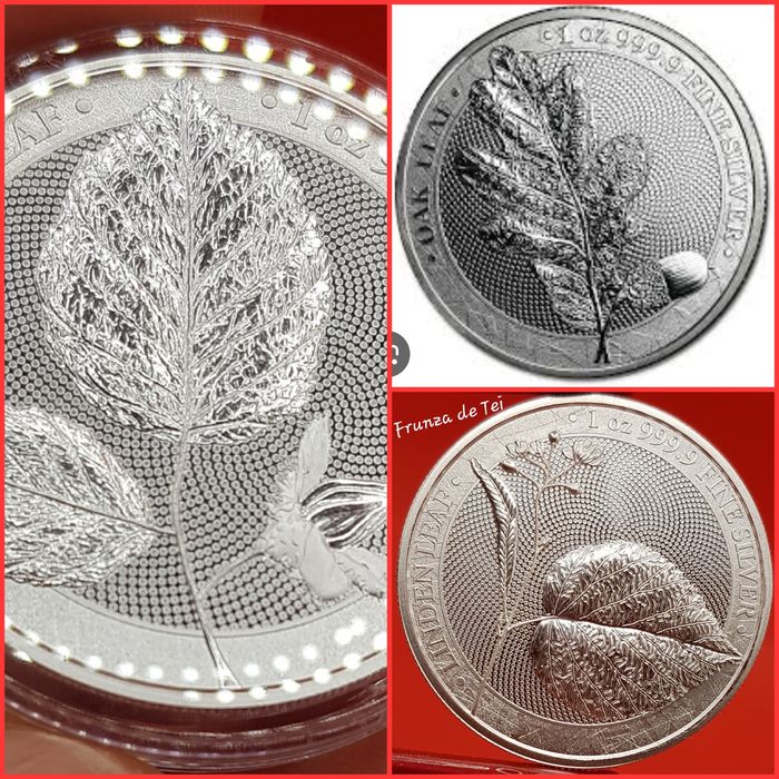 Polonia, Germania Mint, monede lingou argint 999 pur