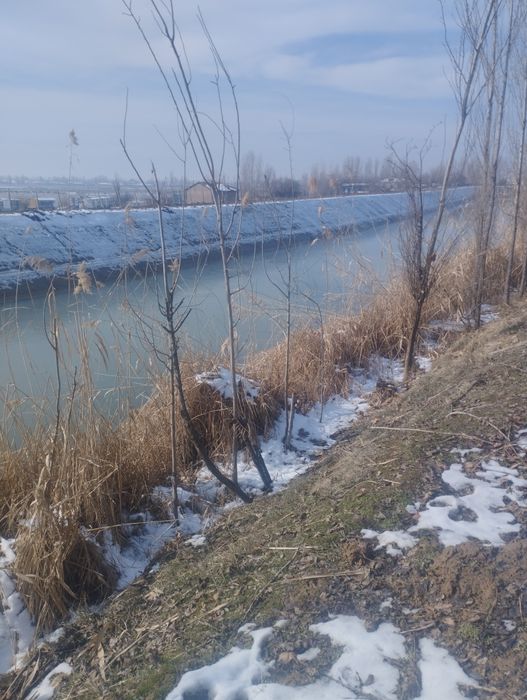 Дачный участок 6 соток