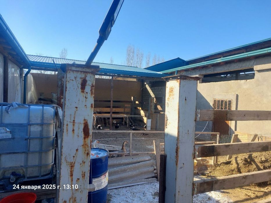 Продается мини ферма