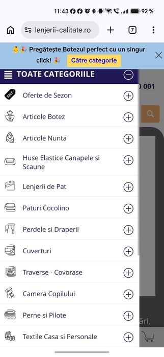 Oportunitate Afacere la Cheie: Pachet 2 Magazine Online complet functionale