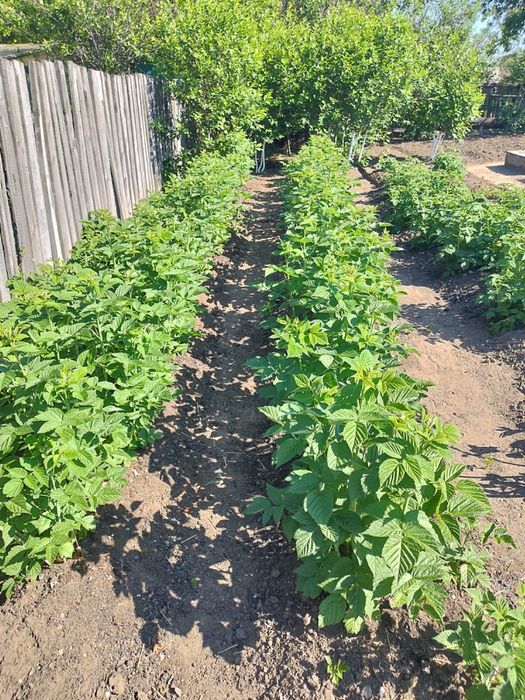 Продам ухоженую дачу на Федоровке