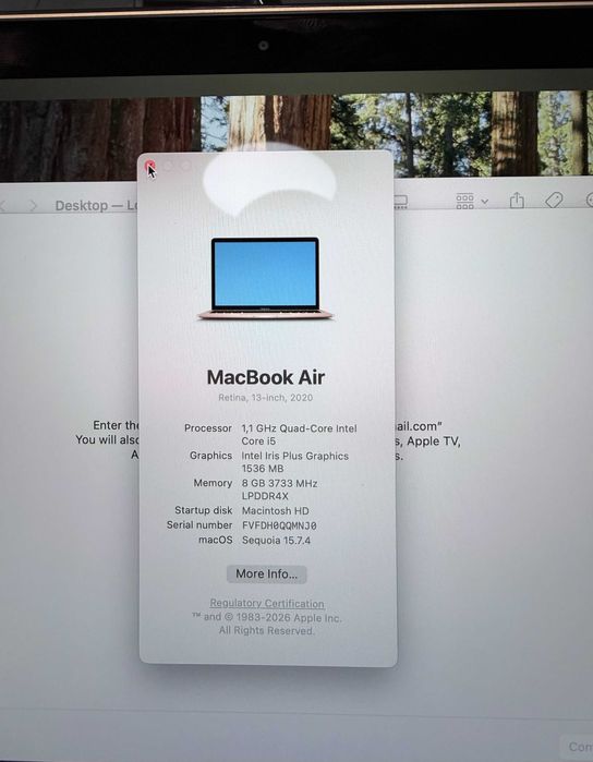 MacBook Air Retina 13", 2020, Rose Gold