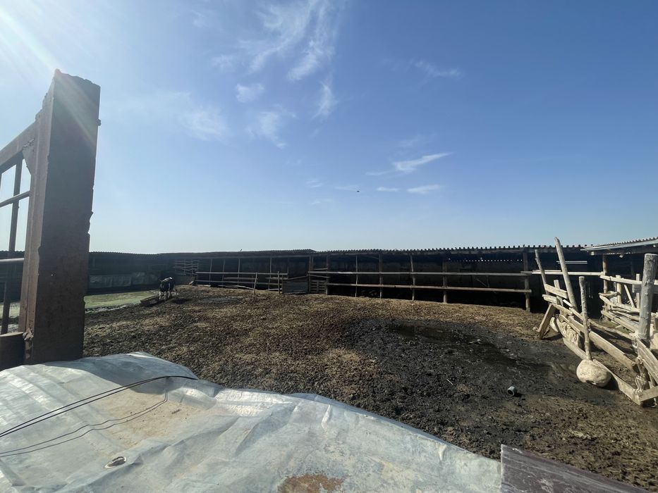 Продам Фазенду