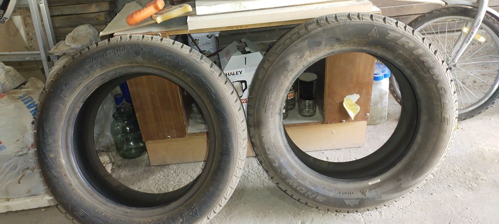 Покрышка зимный Трейнжел!