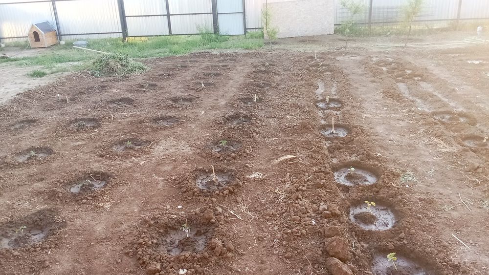 Продам дом в посёлке Деркул. Пдп 1.