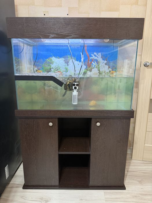 Срочно продаем аквариум с черепахой