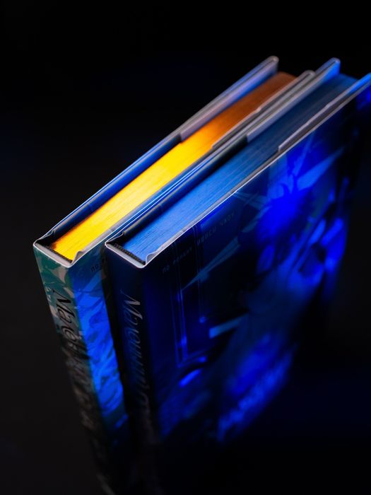 Маленький гриб манихуа на русском