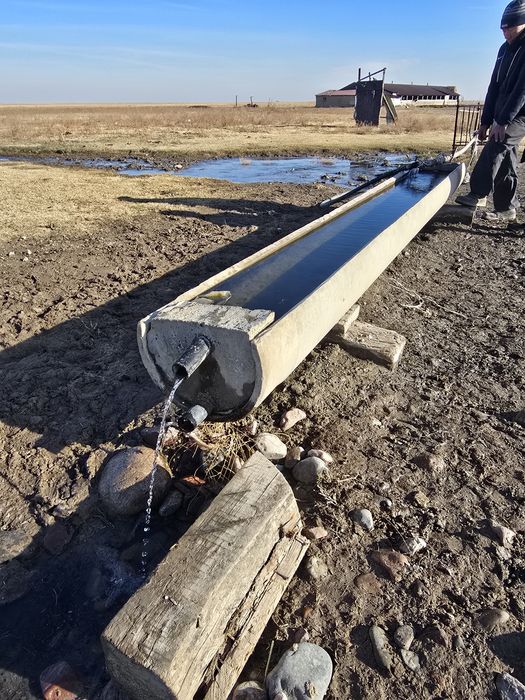 Фазенда мал шаруашылығына