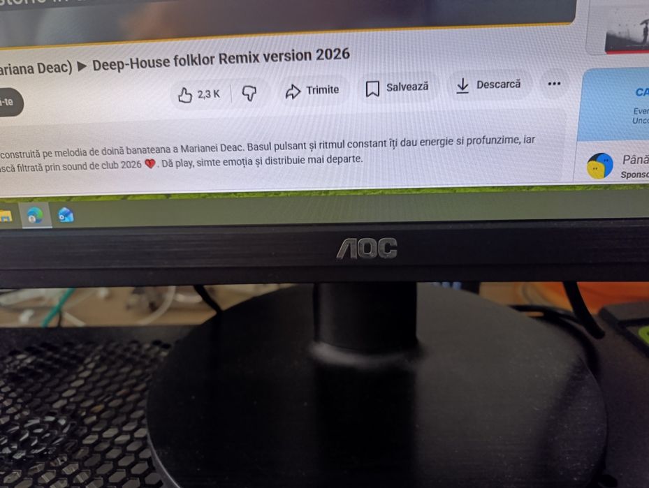 Monitor AOC  E2460S