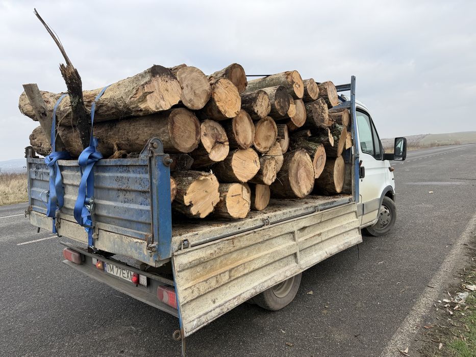 Lemn de foc,  esenta tare