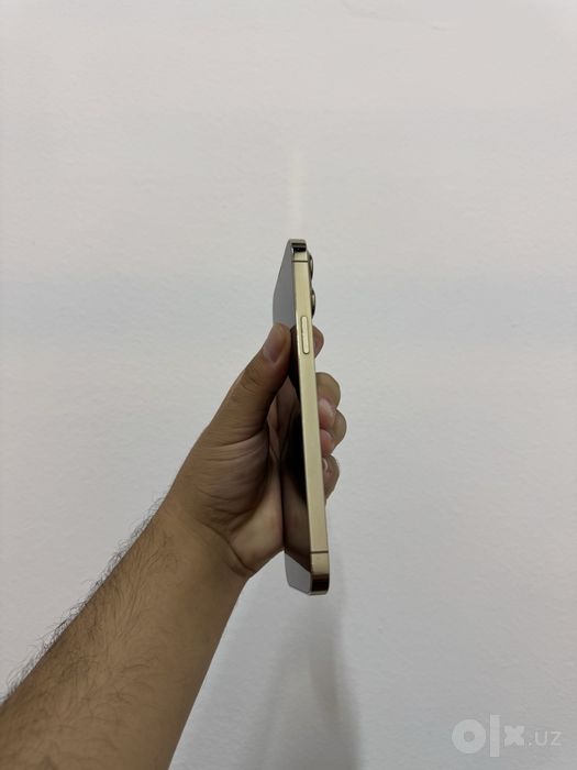 Iphone 13 pro max gold