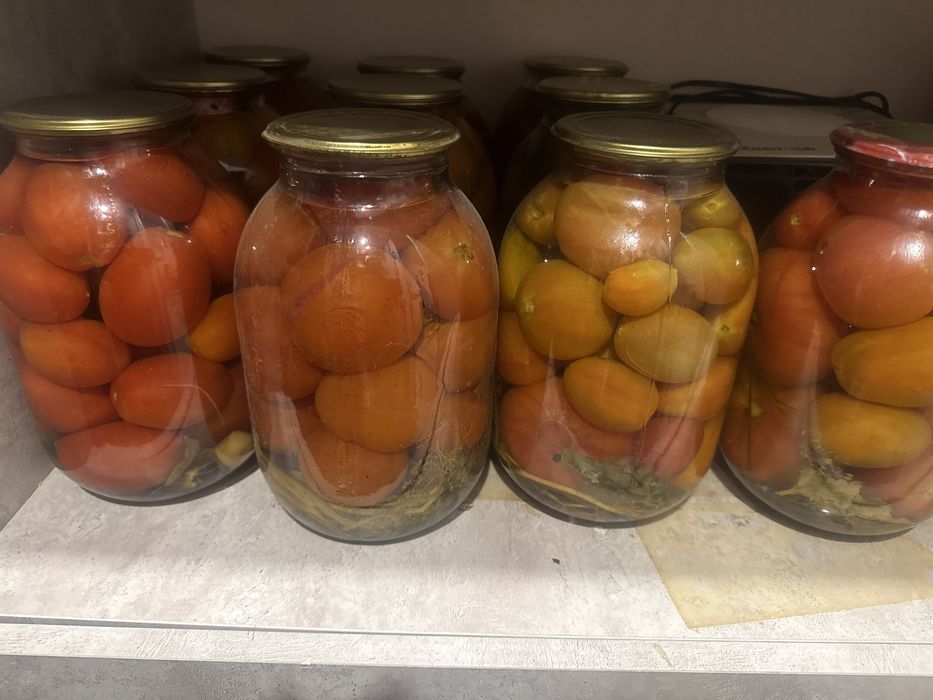 Продаю домашние соленые помидоры