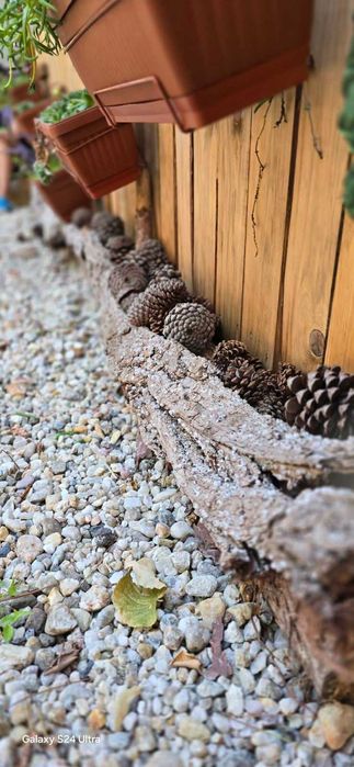 Каравана под наем  Шишарка 
       Къмпинг Созопол Еко