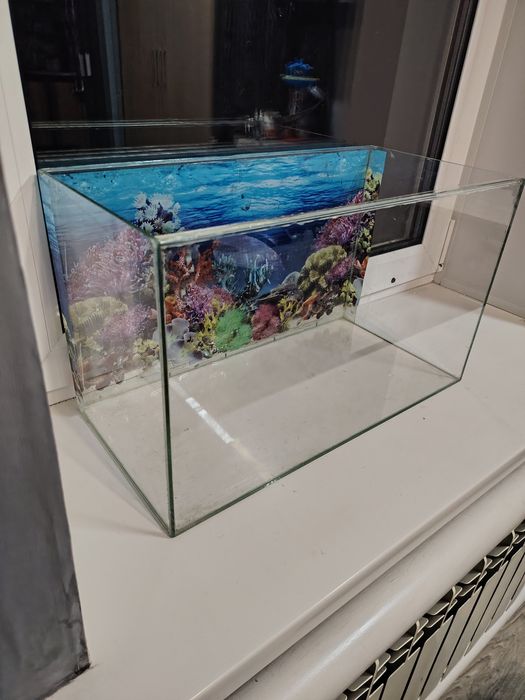 Продам аквариум со всем необходимым