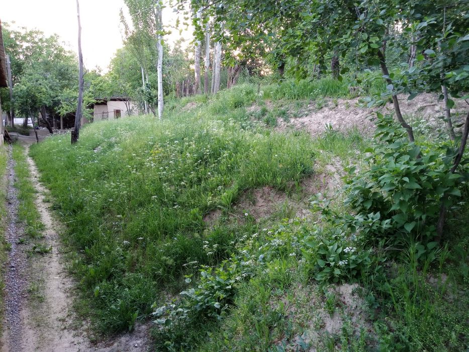 Дача учун бостонлк рн хондойлкда уй жой сотлади!