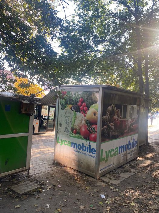 Modul stradal(tonetă) zona stația de autobuz 2 Baieti