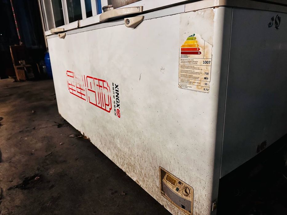 Marazelnik muzlatkich